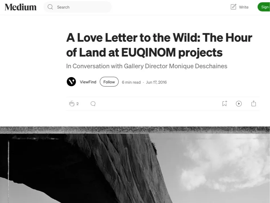 EUQINOM PROJECTS | Gallerist Profile