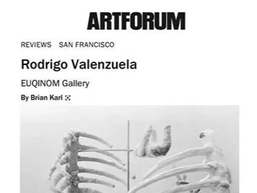  PRESS  ARTFORUM  Reviews Rodrigo Valenzuela EUQINOM Gallery By Brian Karl November 2024  artforum.com  