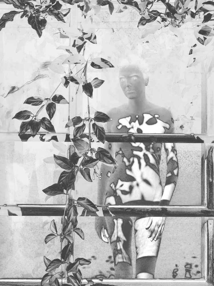  MONA KUHN  Interleaving,  2022 Solarized gelatin silver print 20 x 15 in (50.8 x 38.1 cm) Framed 24 x 19 in Variation of 12   INQUIRE  