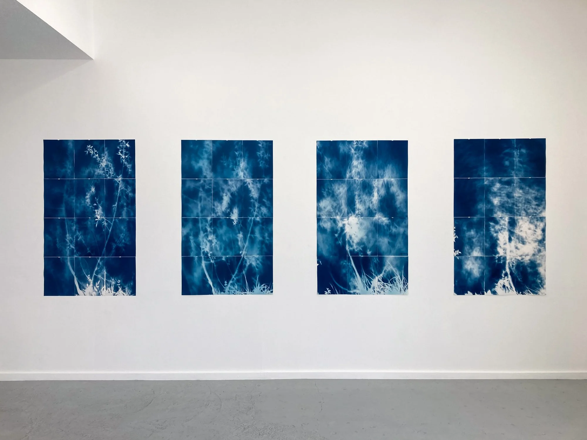 Online Artist Talk with Eric William Carroll