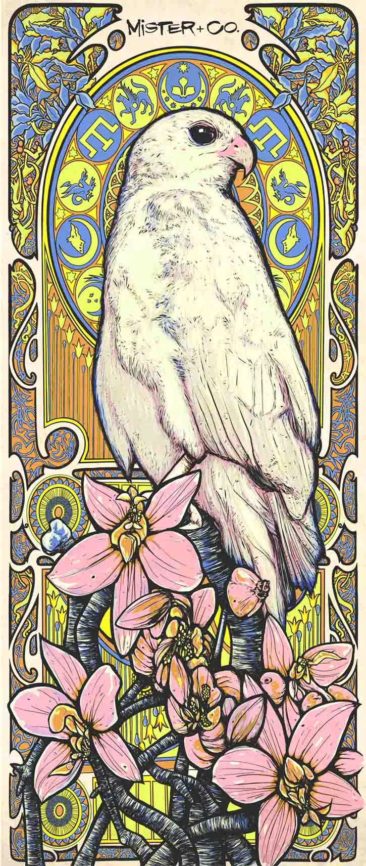 goshawk4.jpg