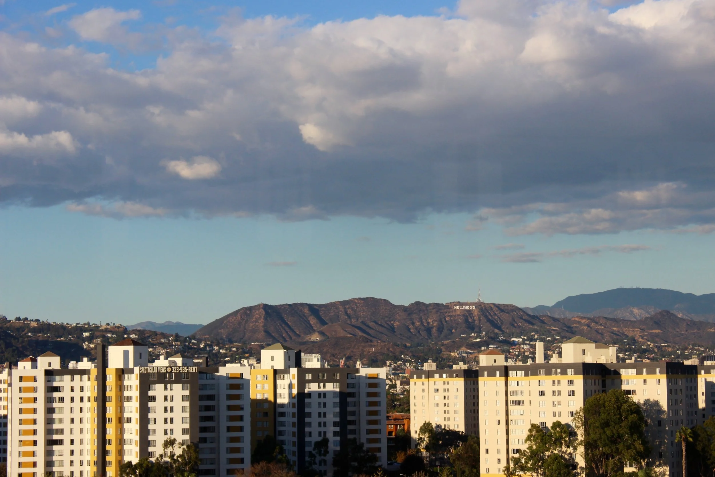 IMG_8380.jpg