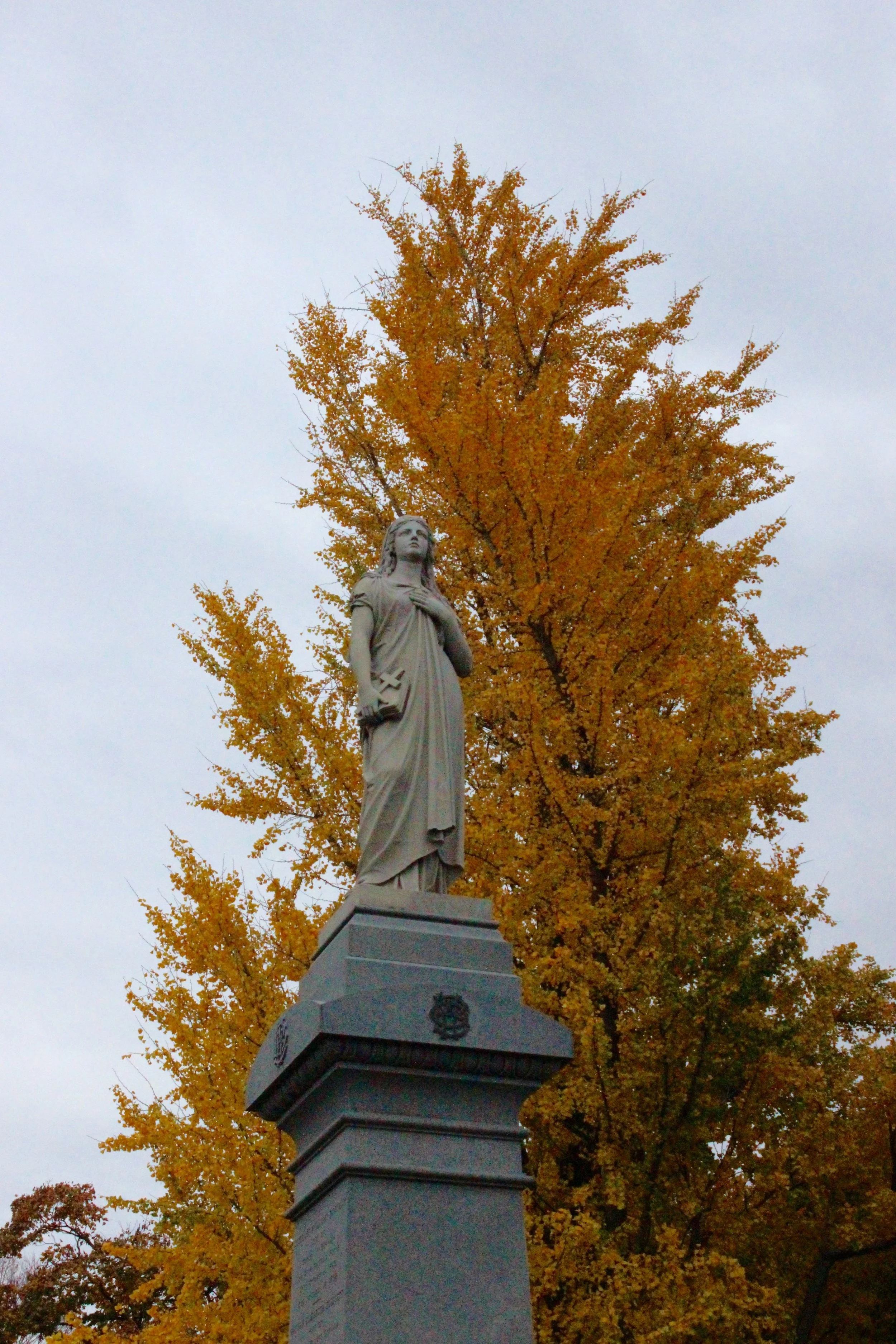 IMG_8046.jpg