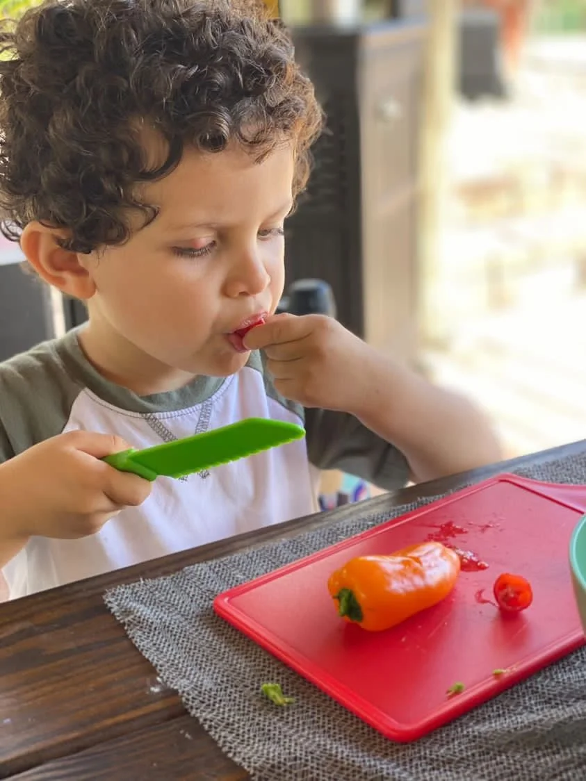 little chef.JPG