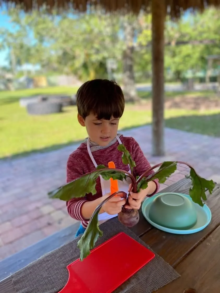 little chef 3.JPG