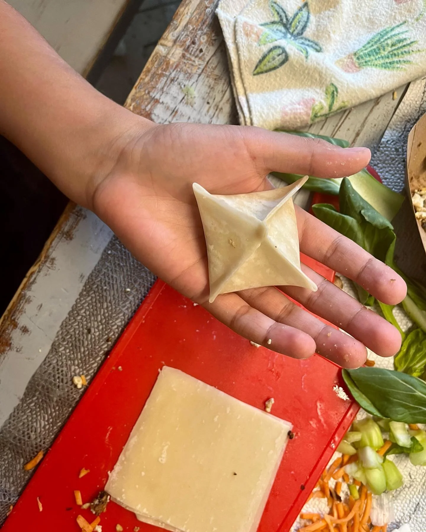 dumplings.jpg