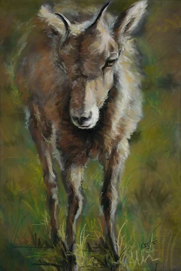 Catherine Johnson