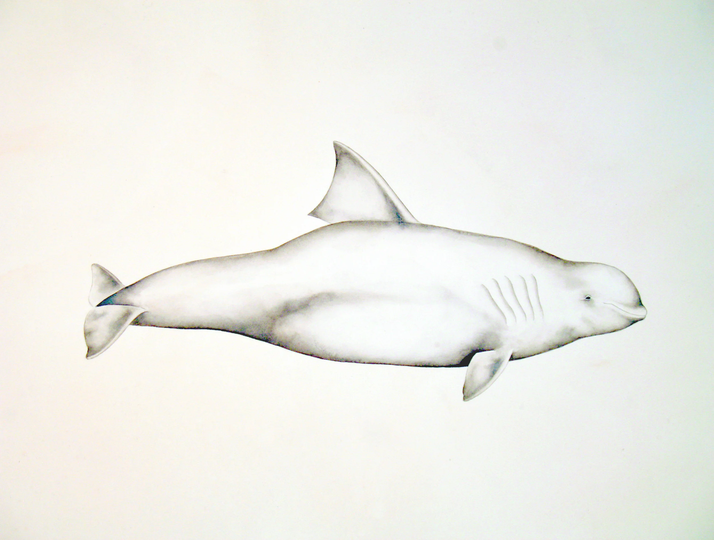 JUSTIN GIBBENS