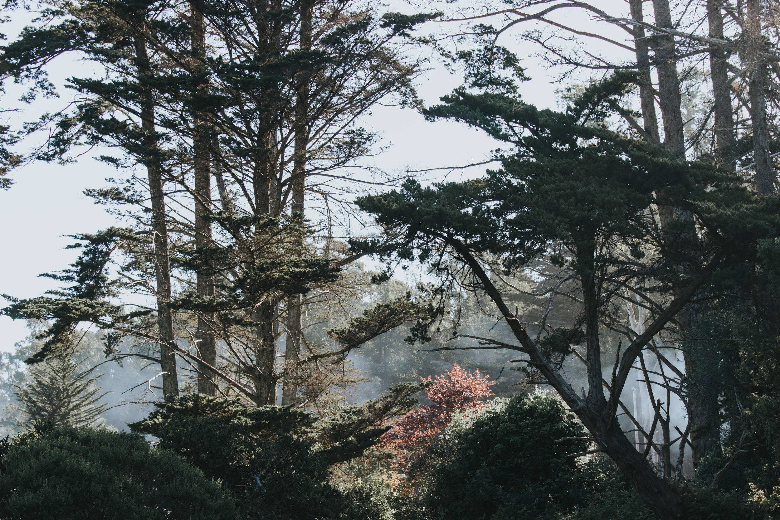 Aptos-48.jpg