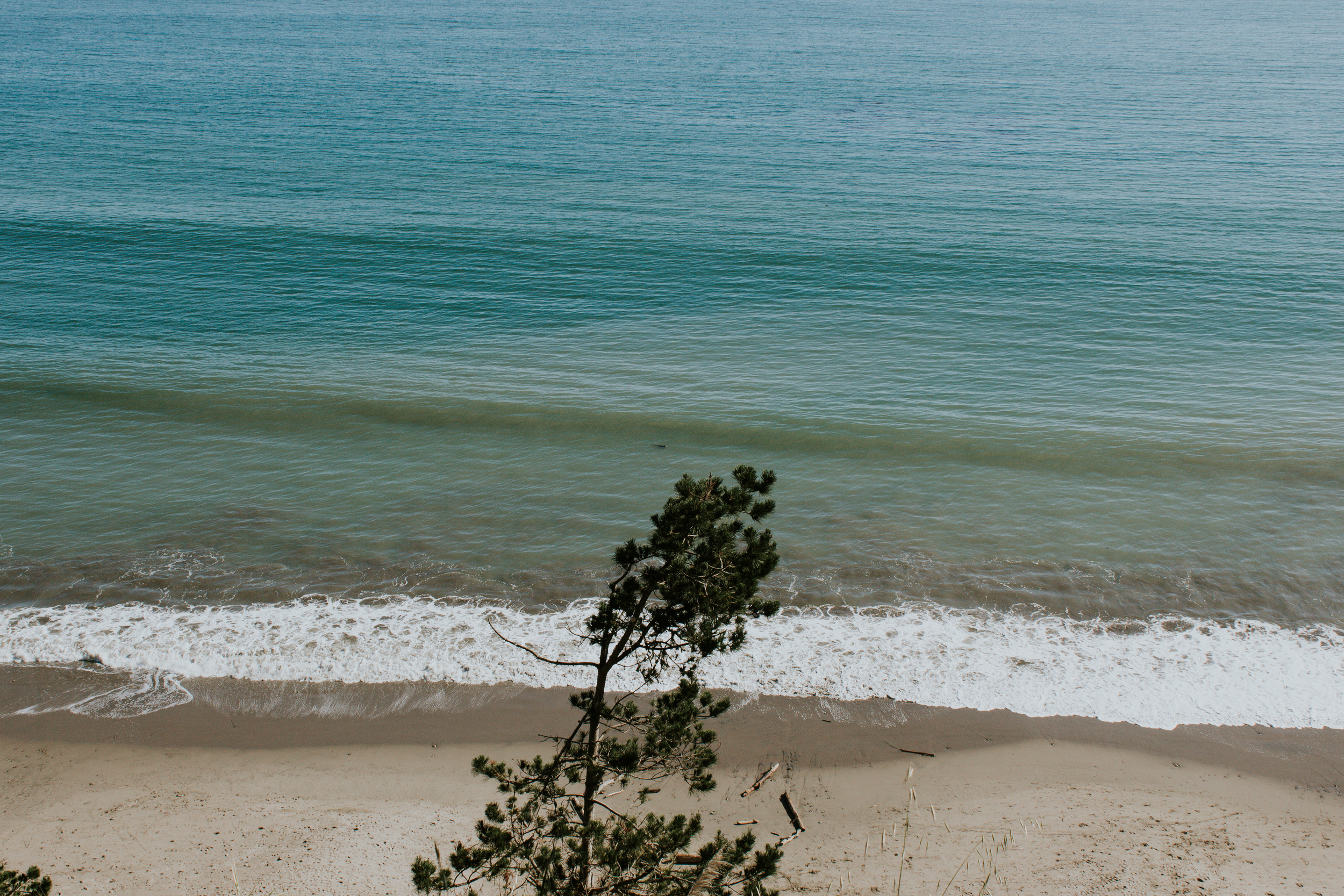 Aptos-133.jpg