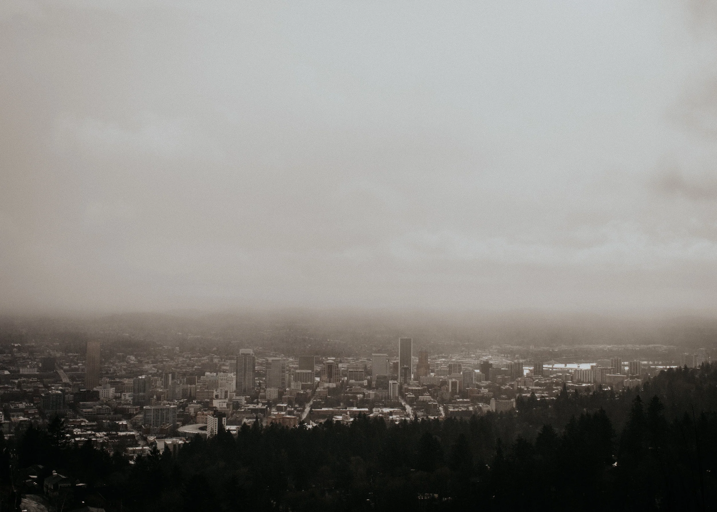 pdx-2.jpg