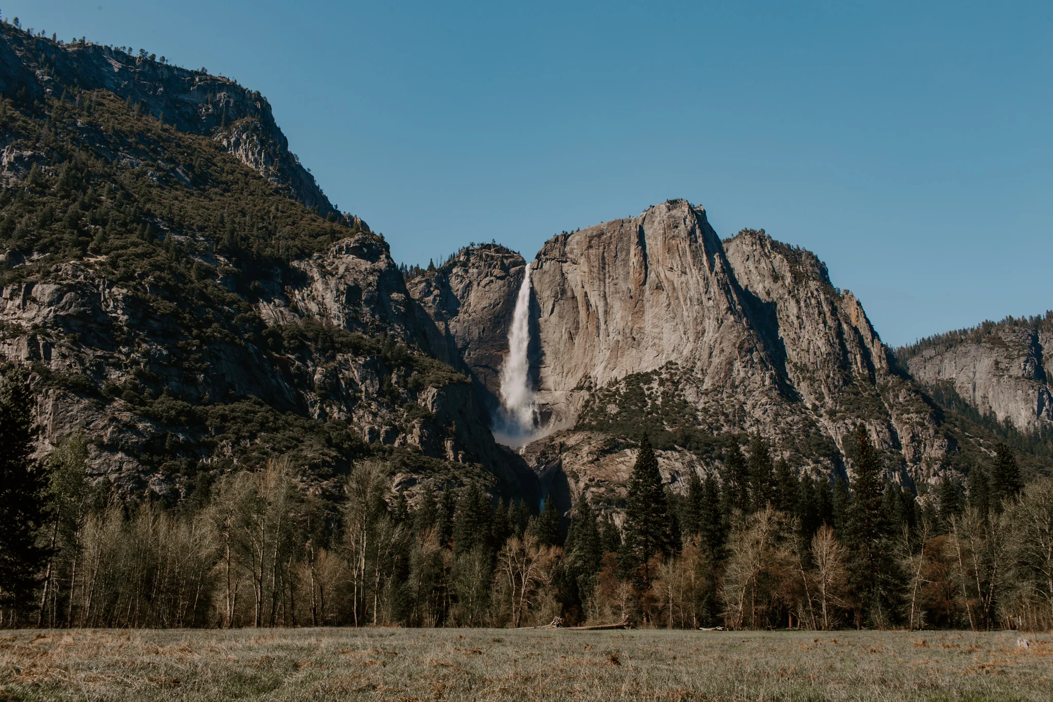 yosemite elopement-69.jpg