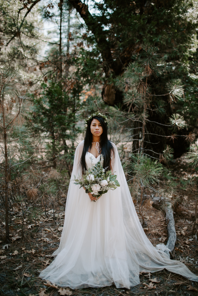 Yosemite National Park Elopement