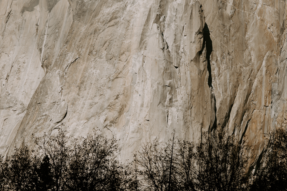 Yosemite National Park Elopement