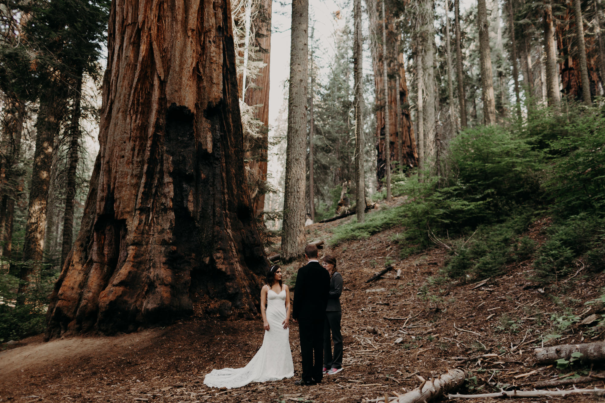 sequoia national park elopement-2.jpg
