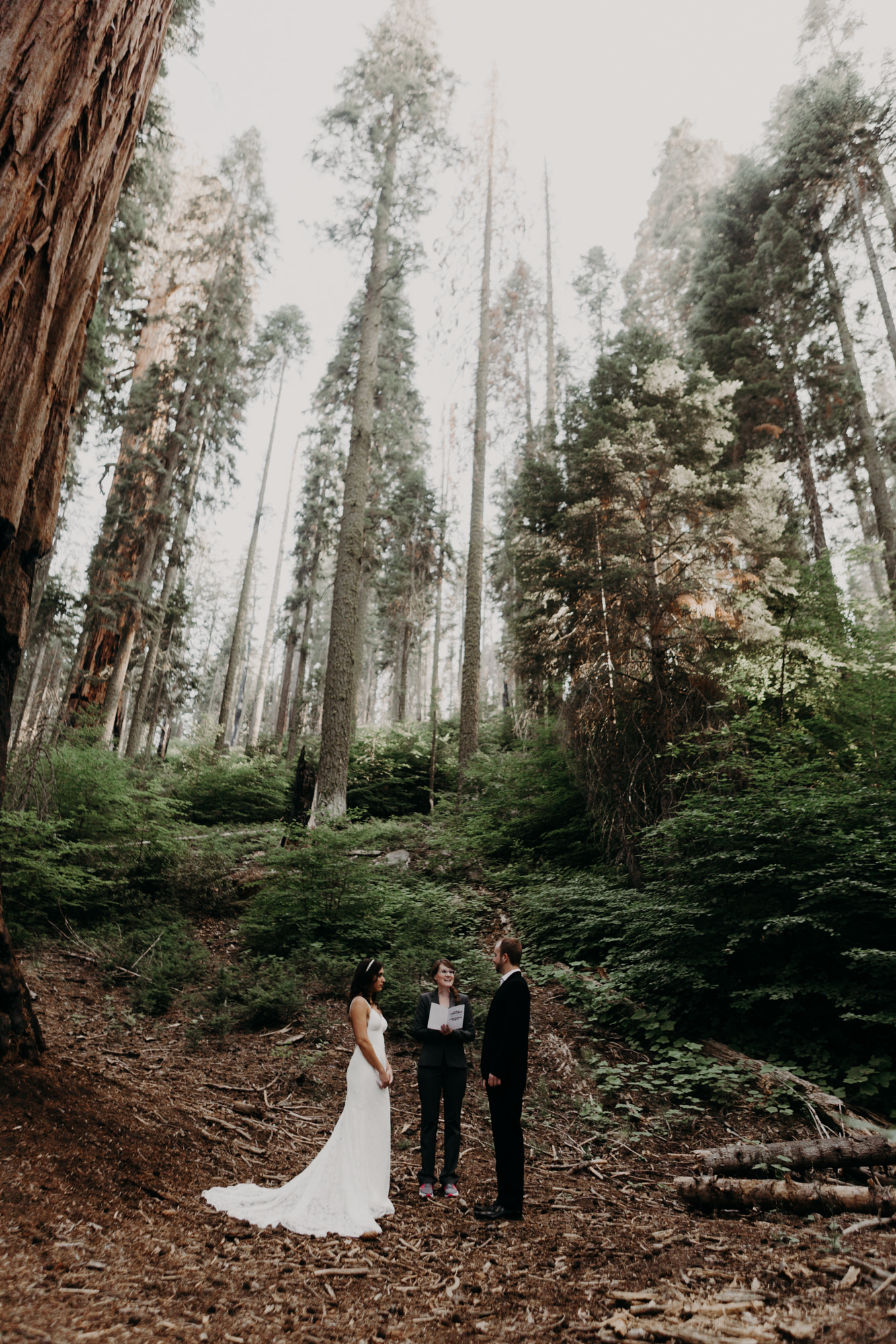 sequoia national park elopement-9.jpg