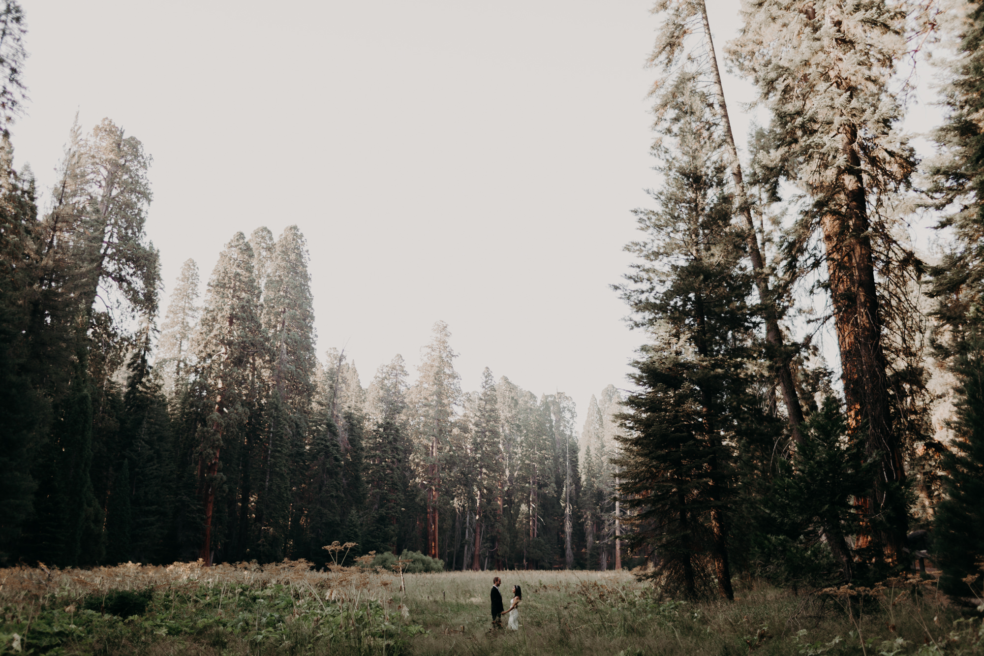 sequoia national park elopement-21.jpg