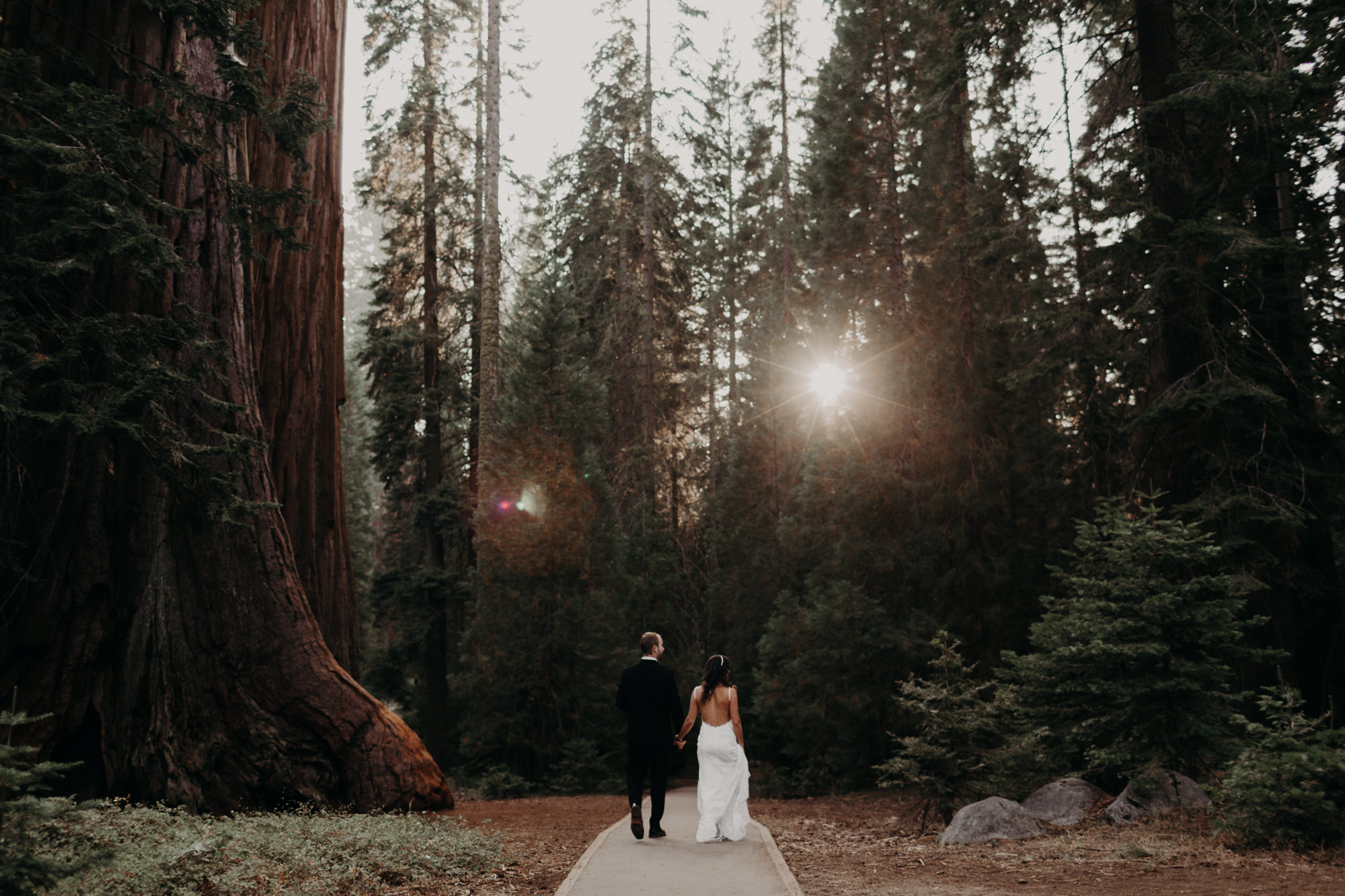 sequoia national park elopement-28.jpg