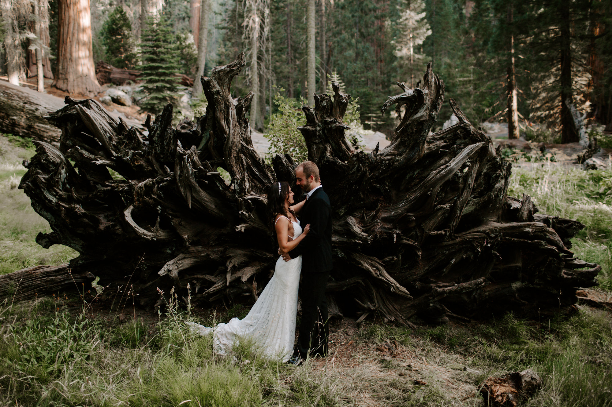 sequoia national park elopement-27.jpg