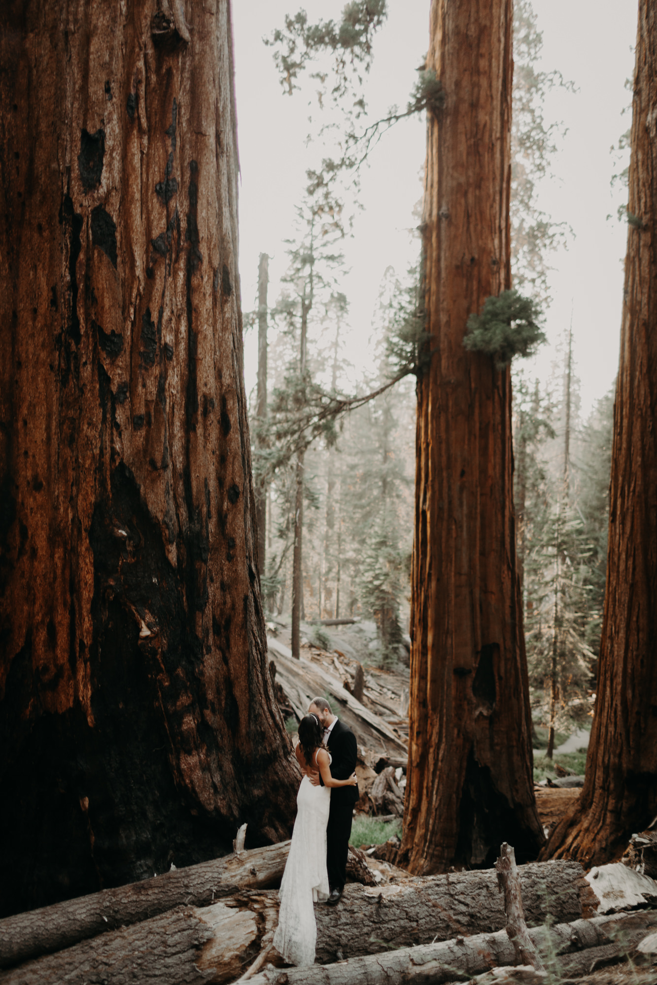 sequoia national park elopement-35.jpg