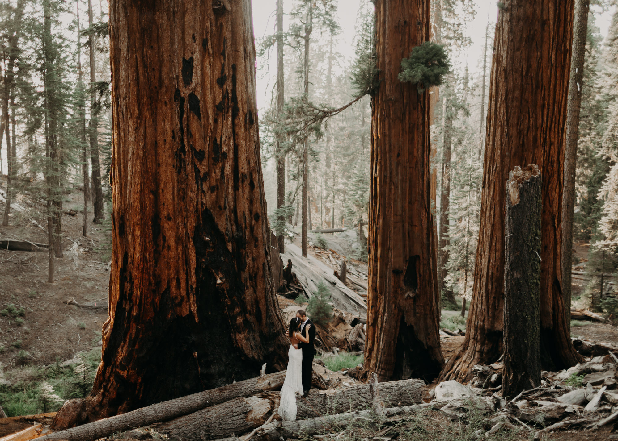 sequoia national park elopement-36.jpg