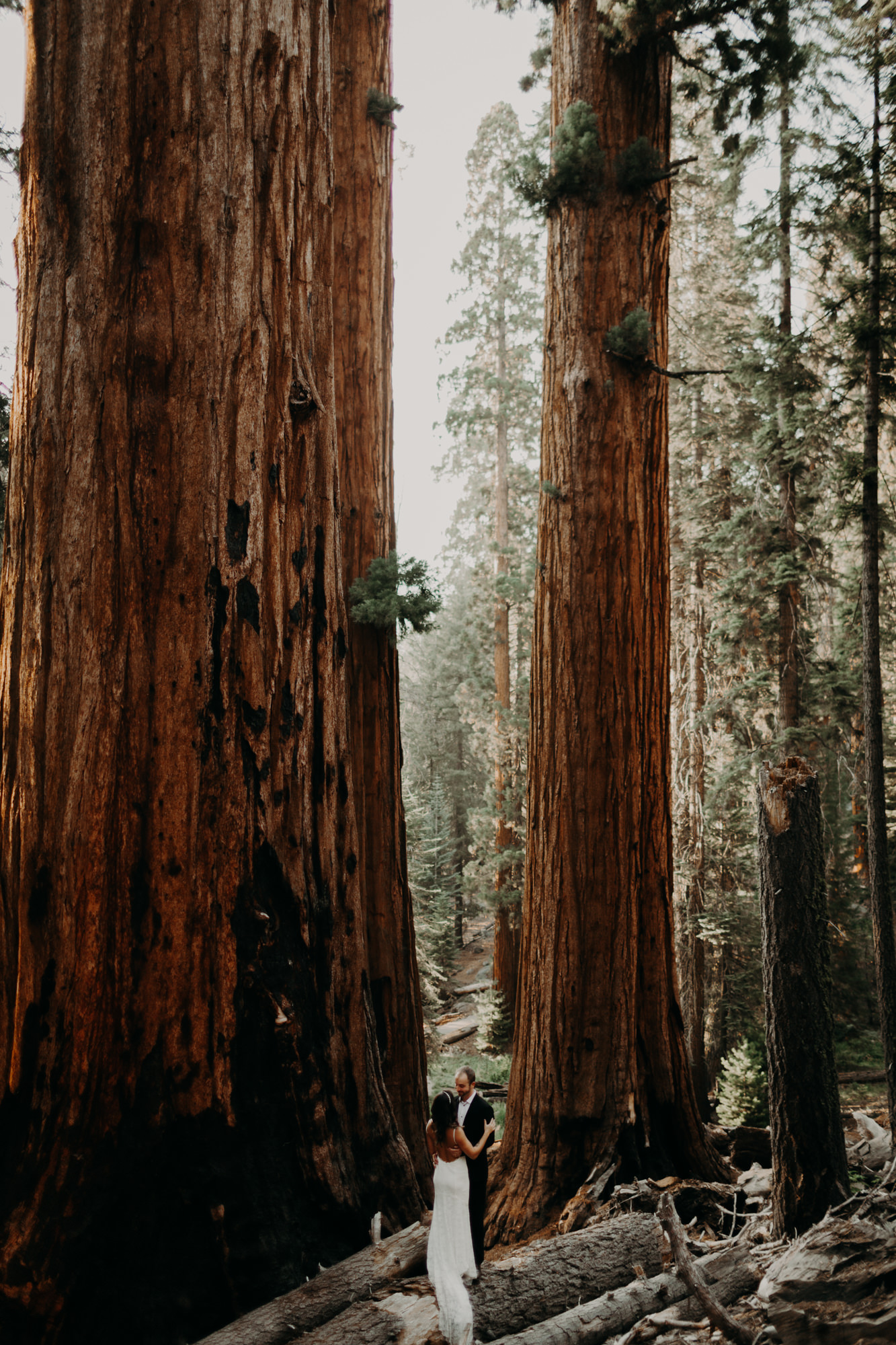 sequoia national park elopement-37.jpg