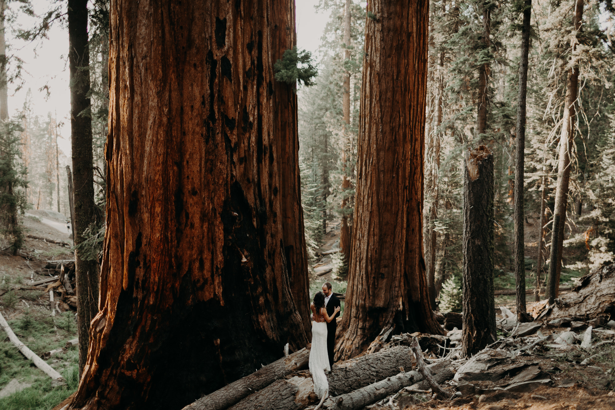 sequoia national park elopement-38.jpg