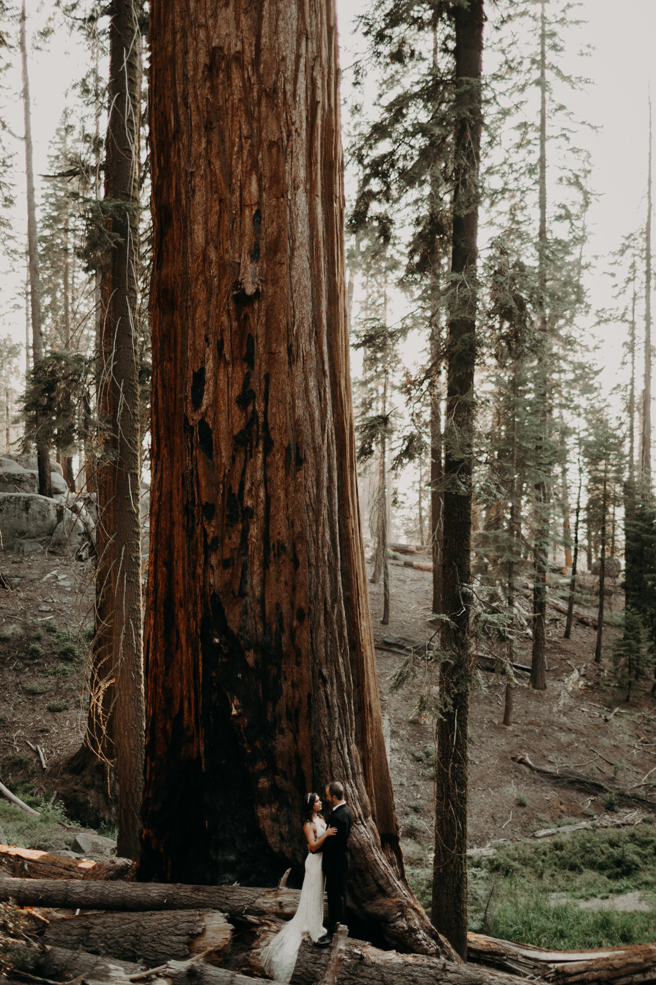 sequoia national park elopement-39.jpg