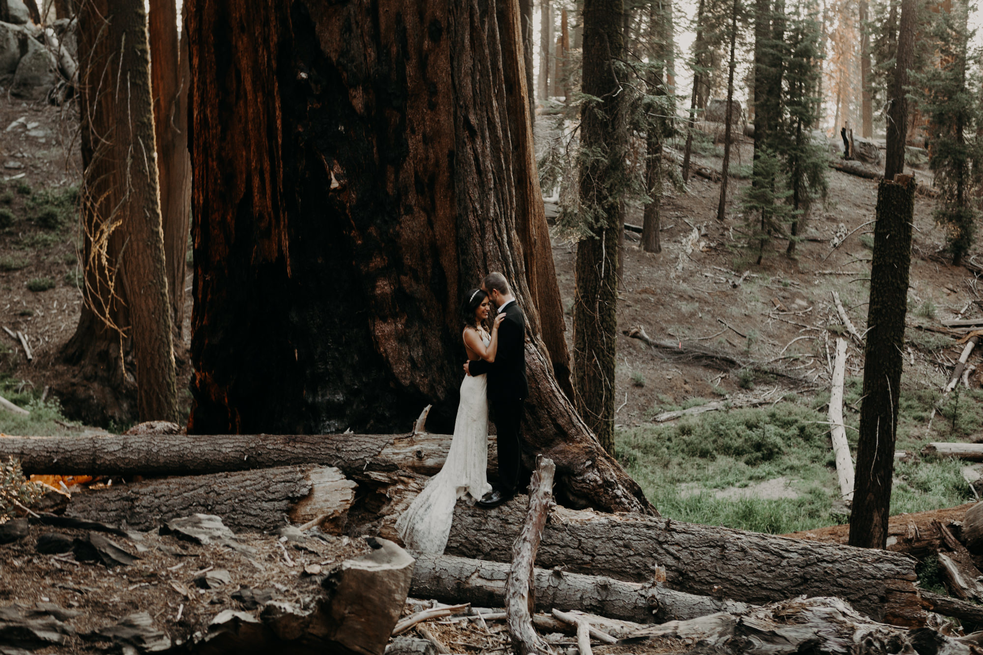 sequoia national park elopement-46.jpg