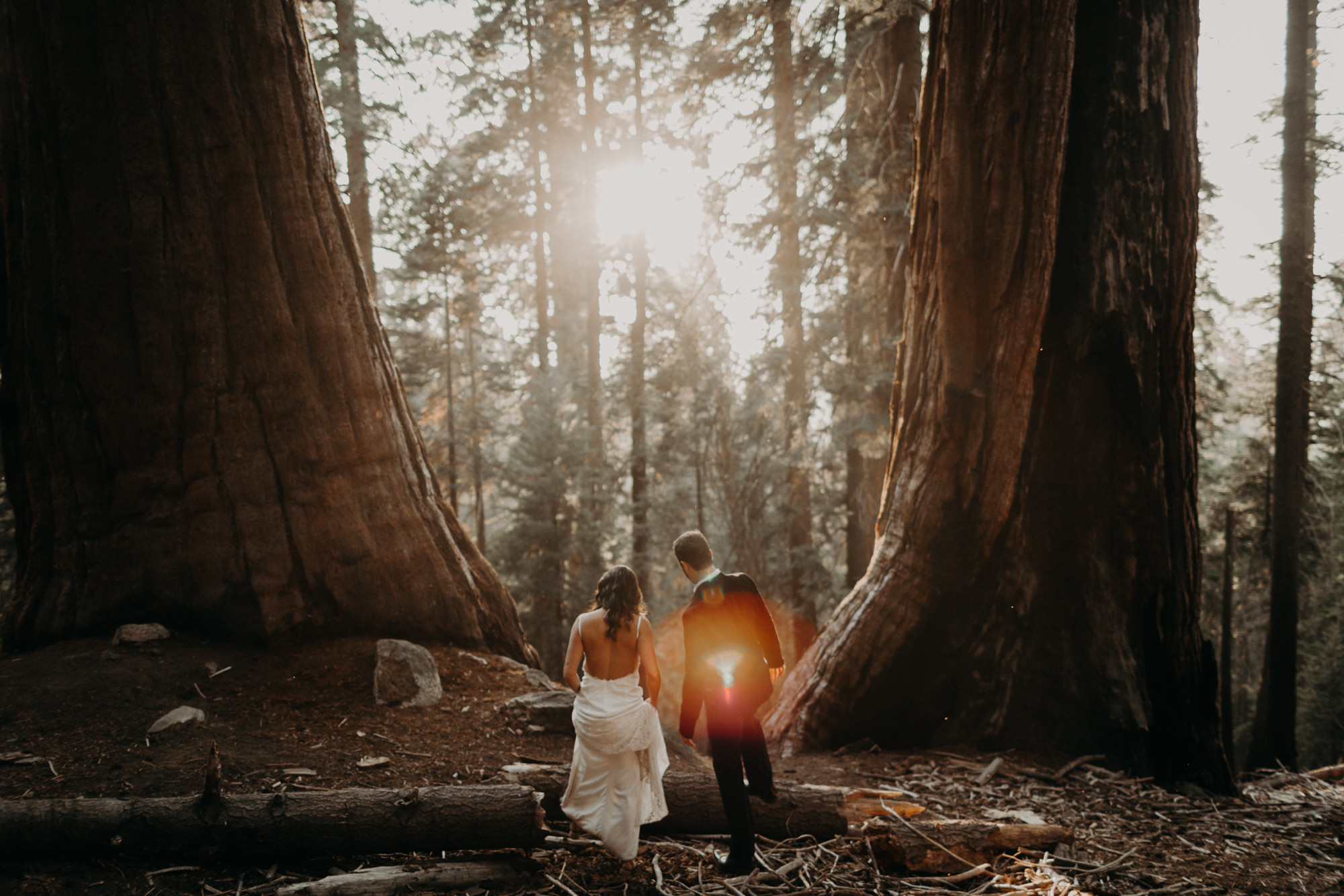 sequoia national park elopement-47.jpg