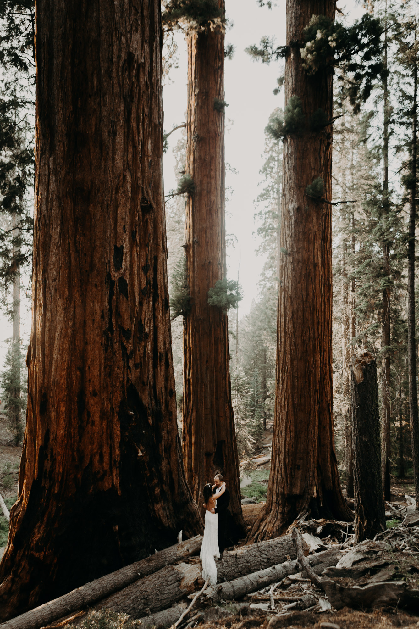 sequoia national park elopement-48.jpg