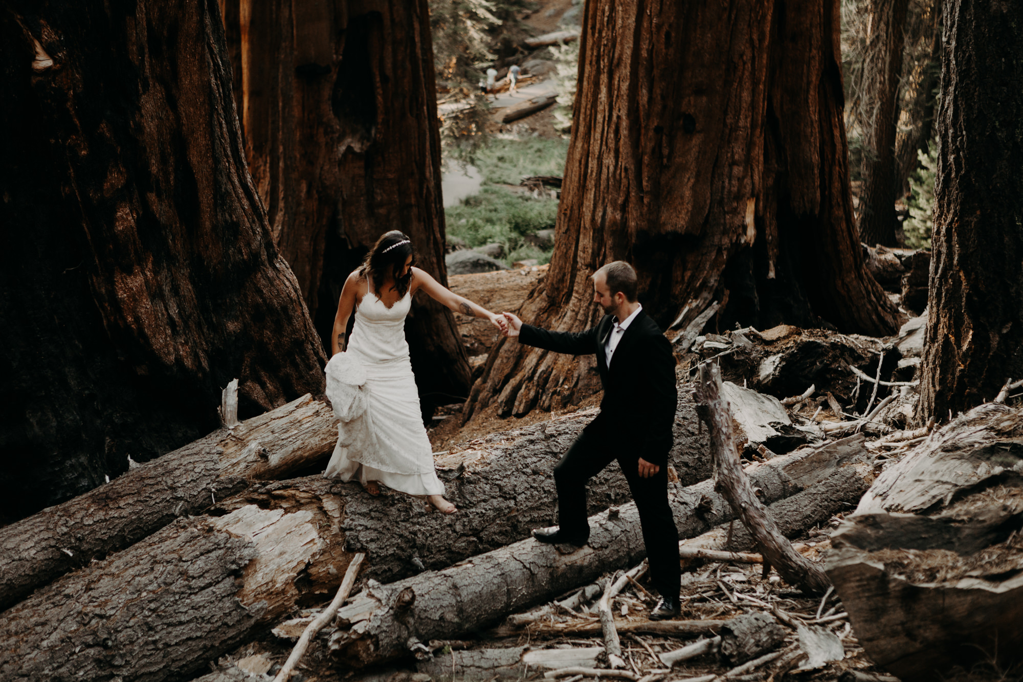 sequoia national park elopement-49.jpg