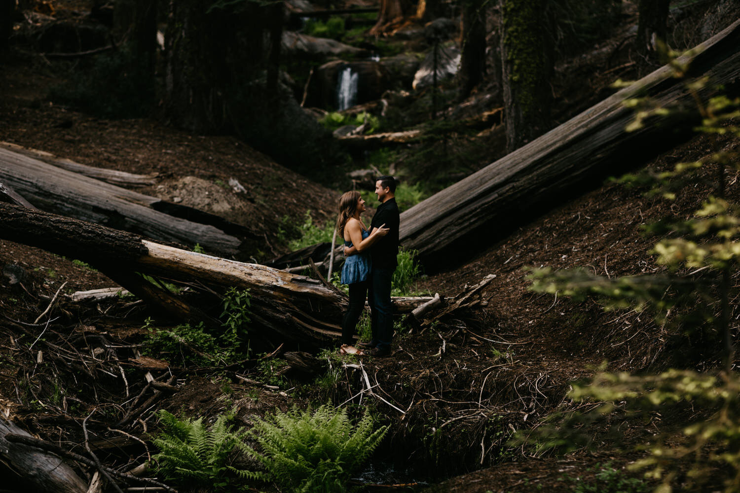 sequoia national park engagement-4.jpg