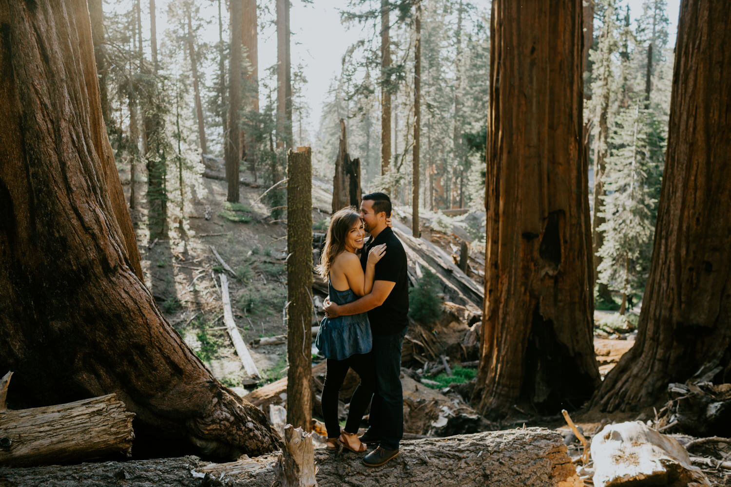 sequoia national park engagement-10.jpg