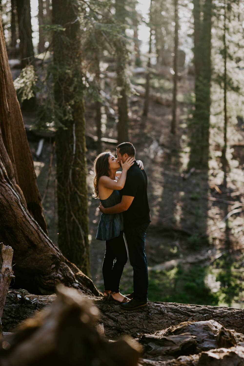 sequoia national park engagement-11.jpg