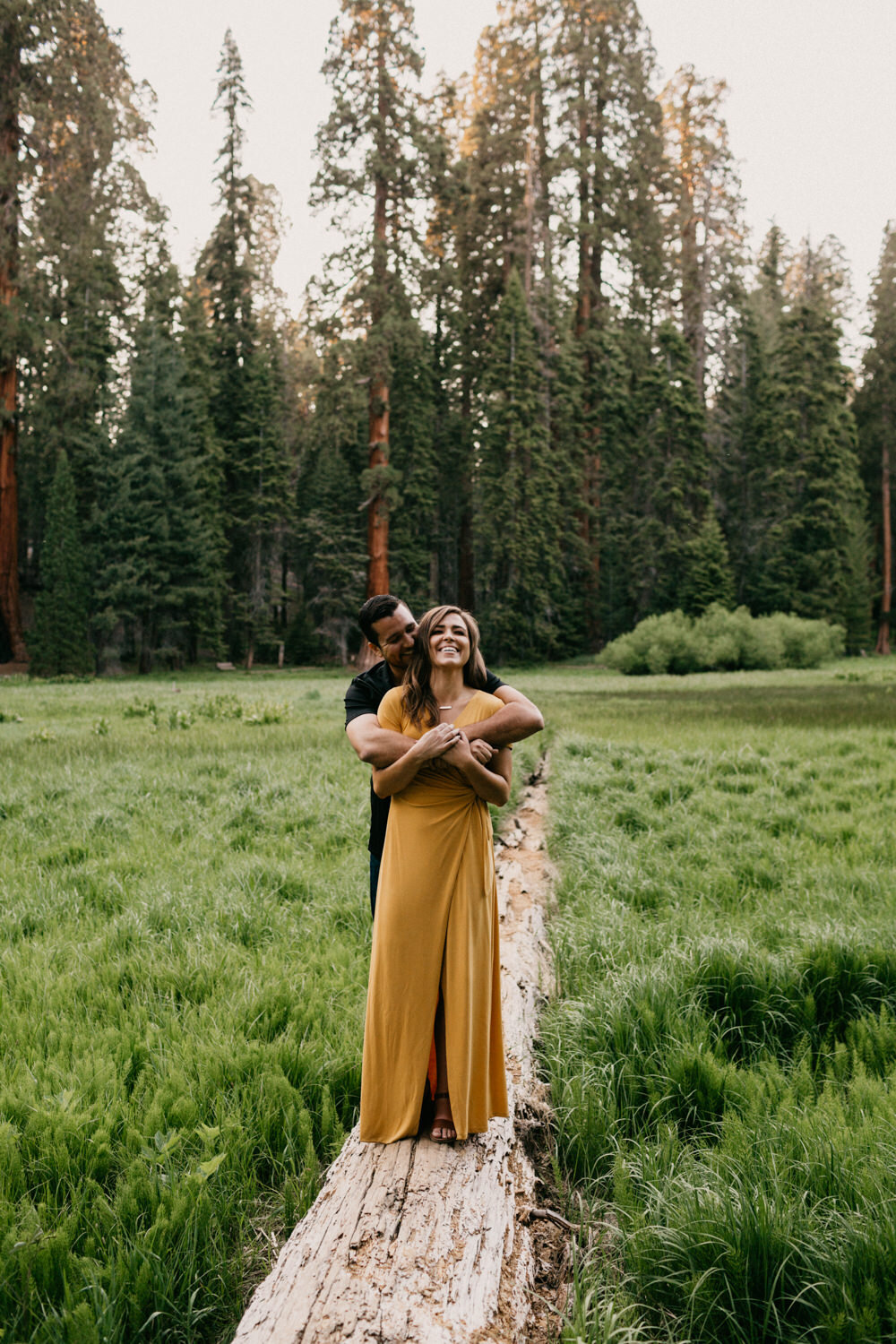 sequoia national park engagement-52.jpg