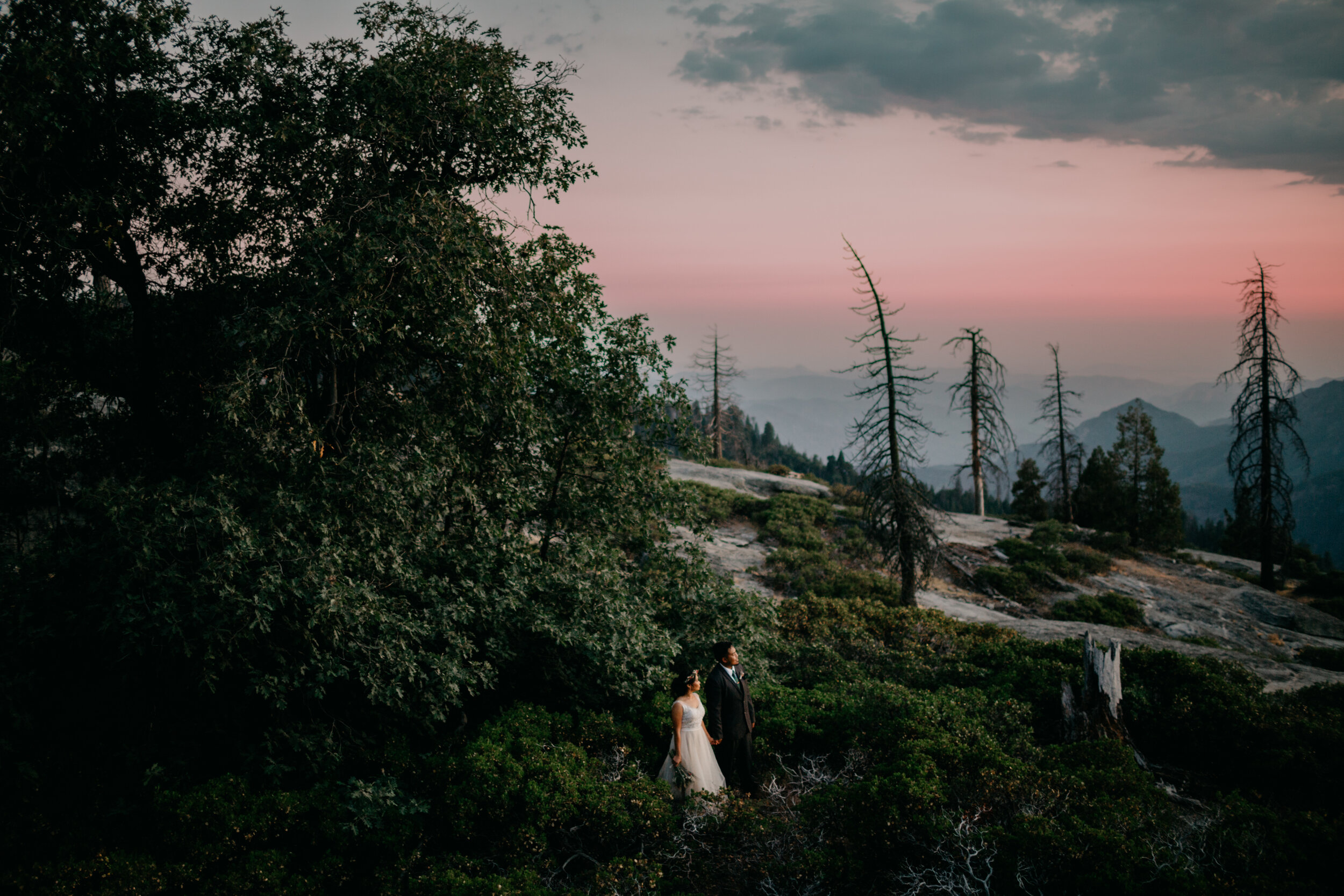 sequoia national park wedding-627.jpg