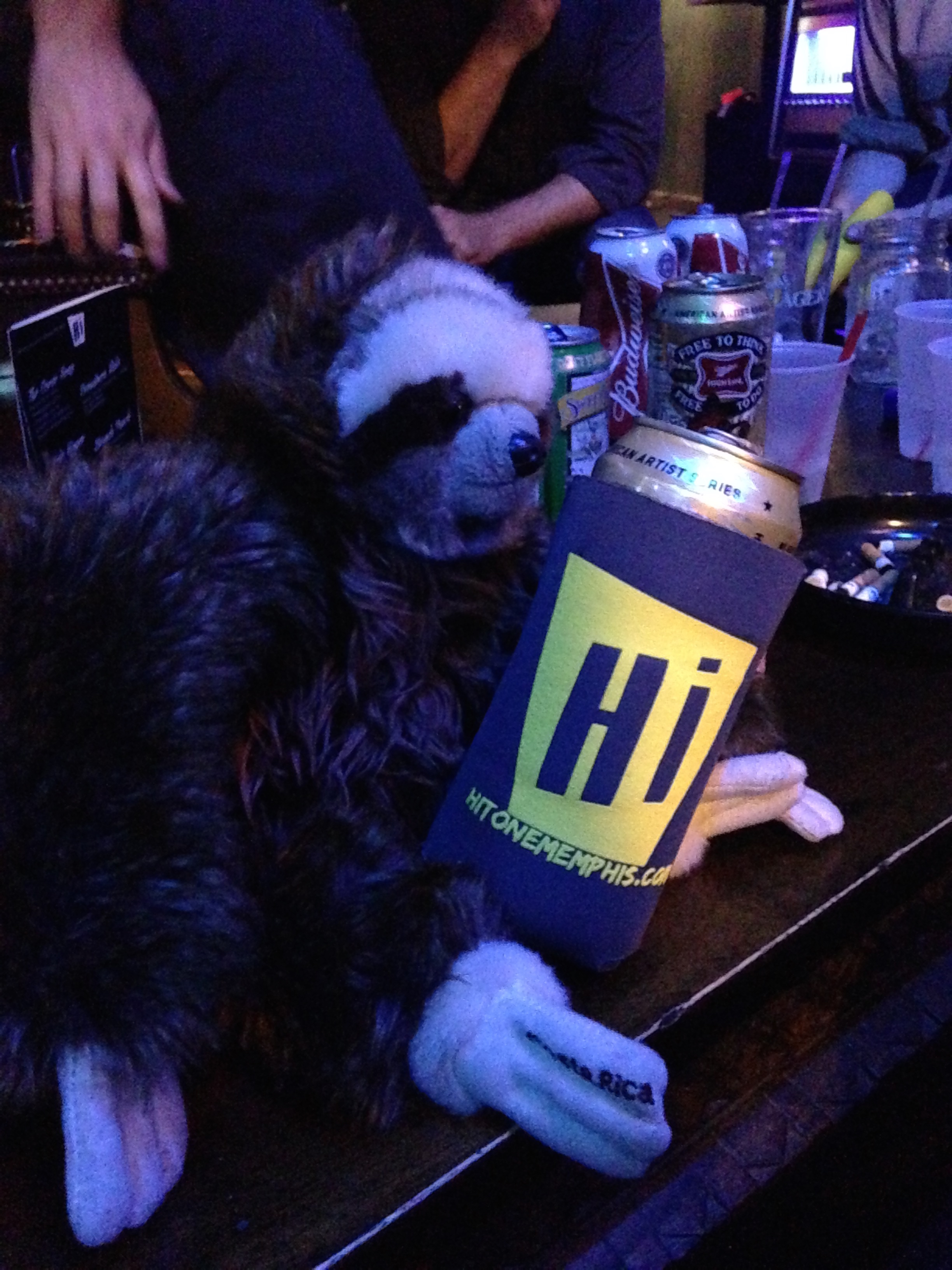 Pérez the sloth stops by the Hi tone