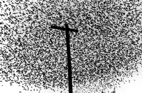Photo: Graciela Iturbide