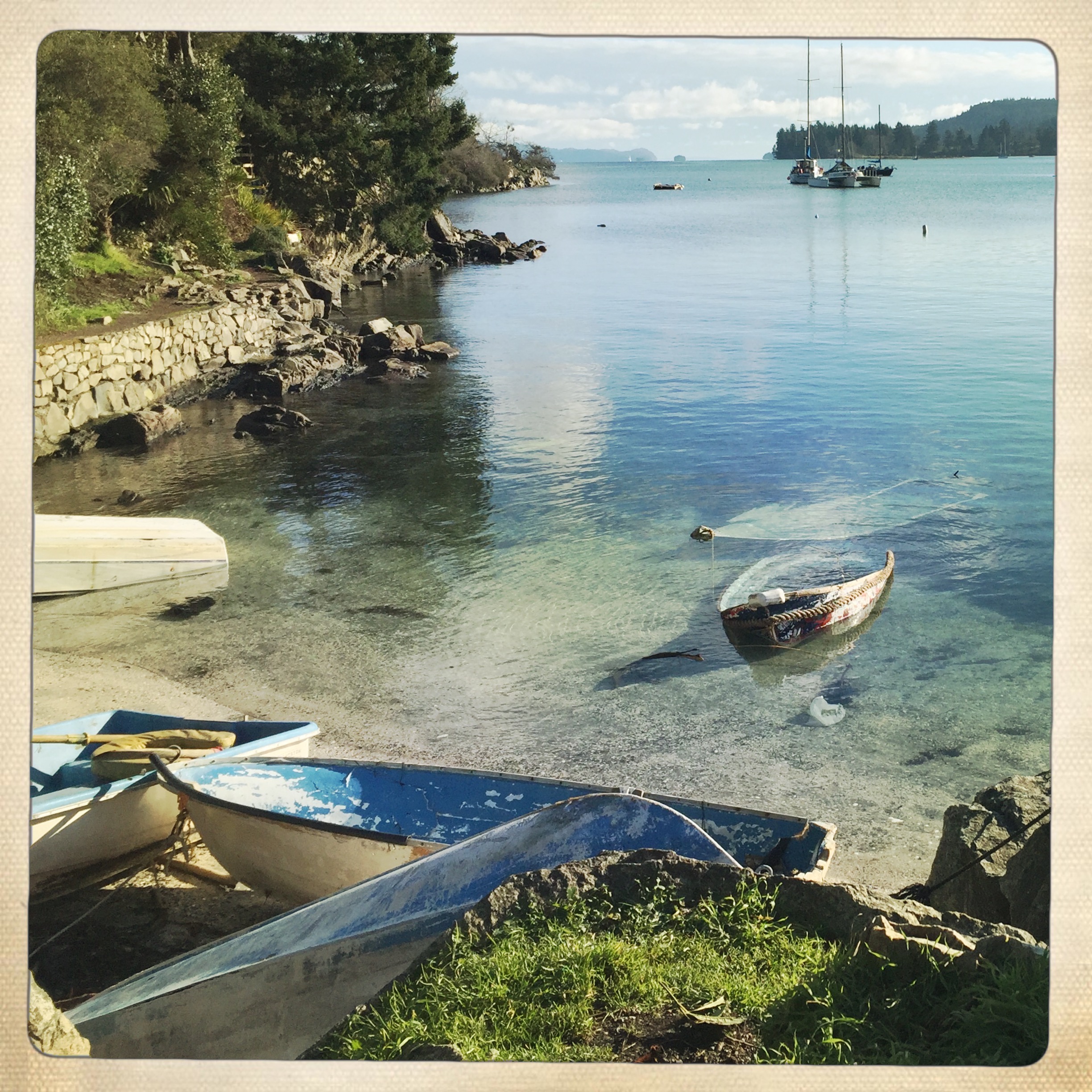 Ganges Harbour, Salt Spring Island, in January! We felt as if we could have been in the Mediterranean. : )