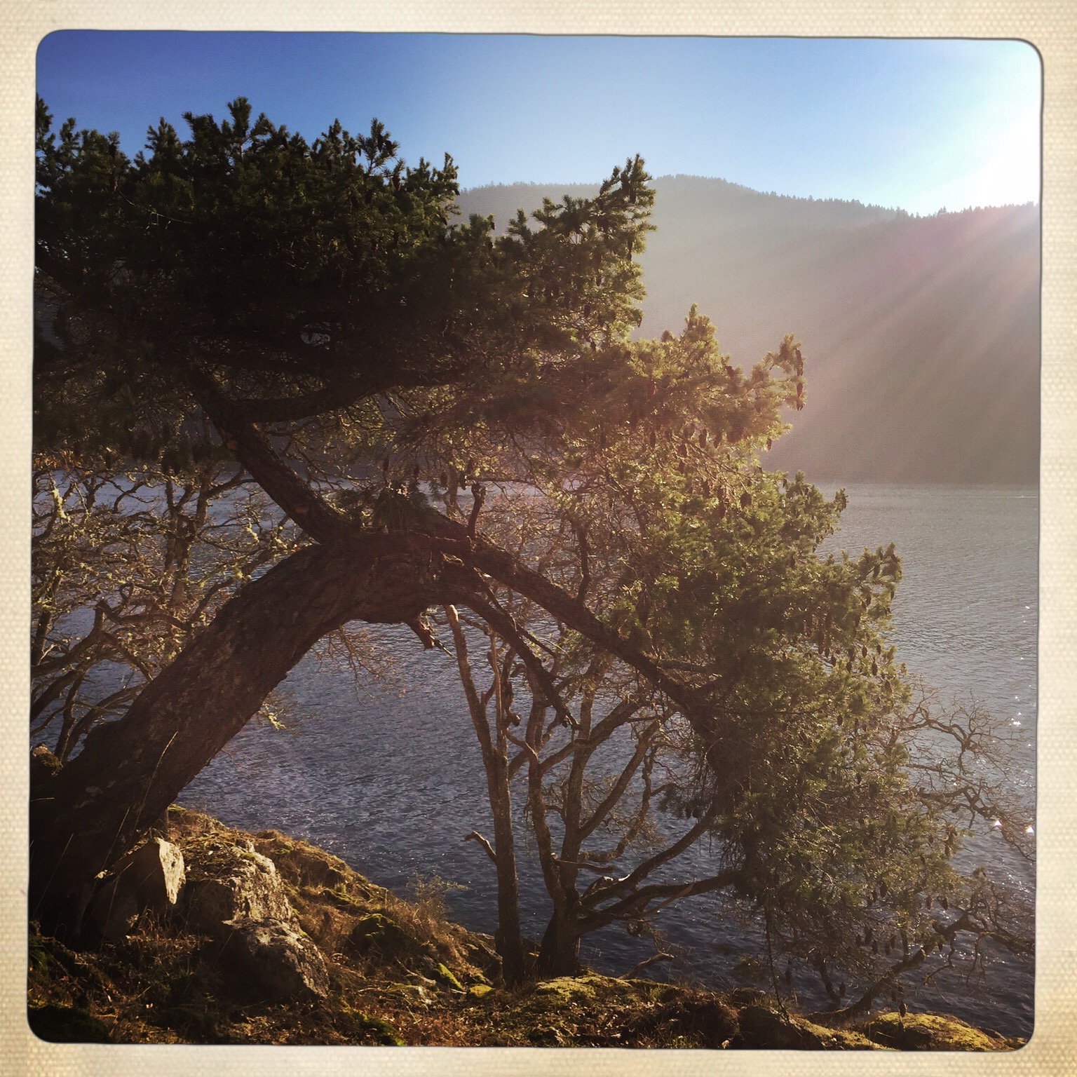 Gulf Island beauty. 