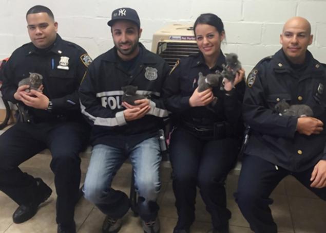 Officers from Brooklyn's 90th Precinct: Photo: @NYPD90pct via Twitter