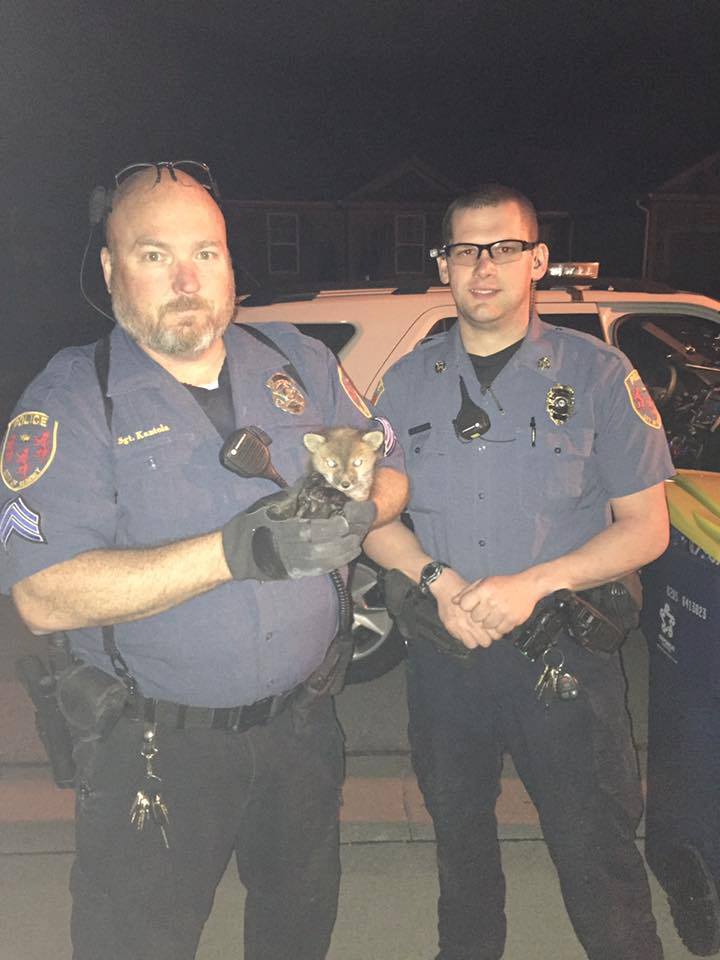 Photo: Kearney Police Dept. via Facebook