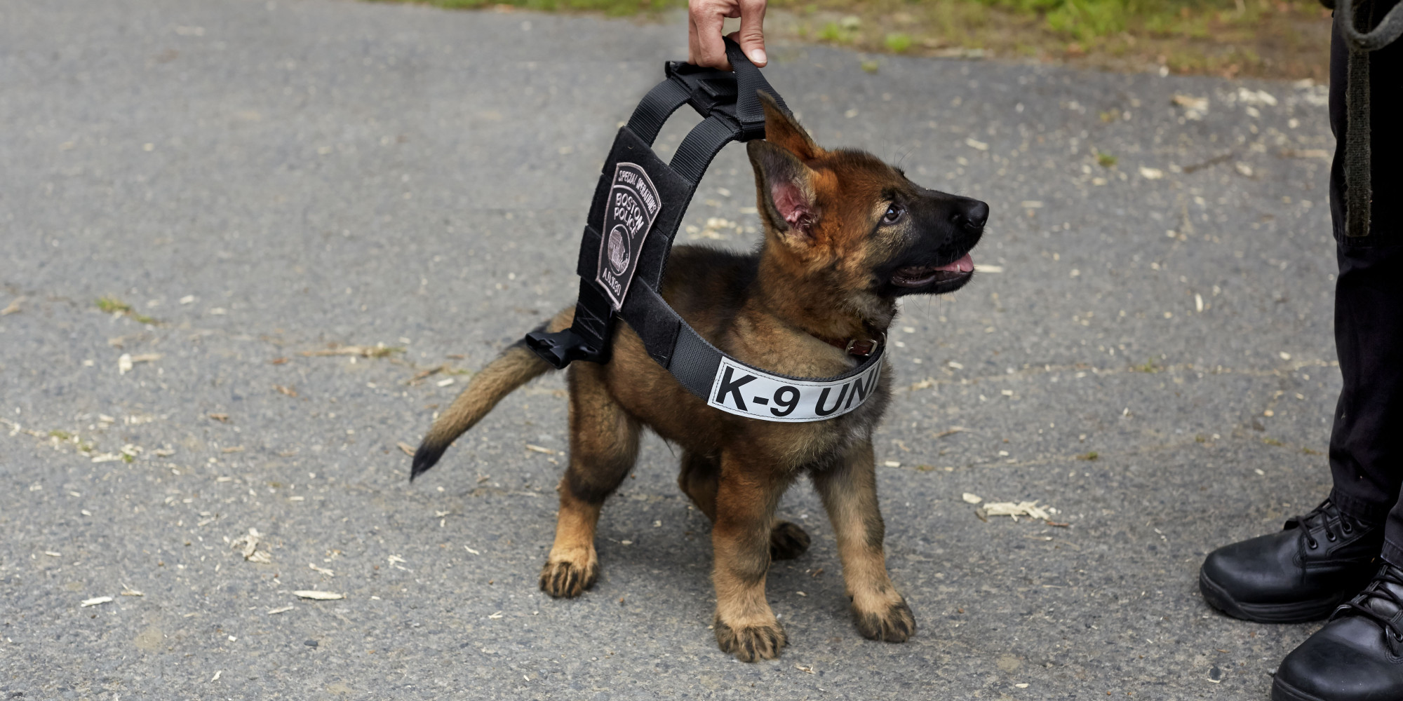 Photo: Jonathan Kozowyk via huffingtonpost.com