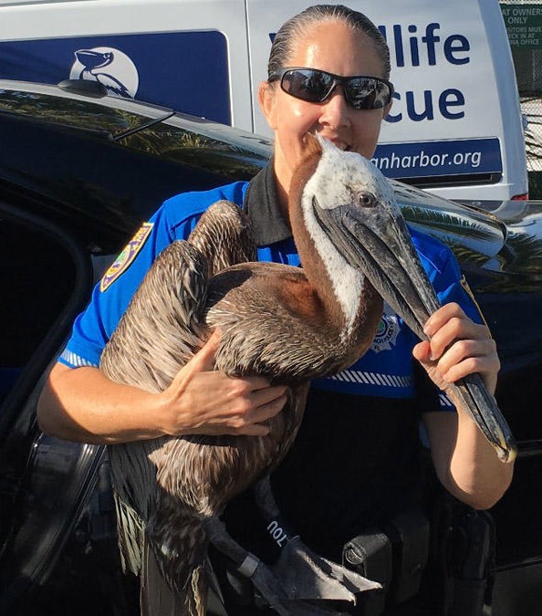 Officer Traci Sierra and Dudley; Photo: via @MiamiBeachPD at Twitter