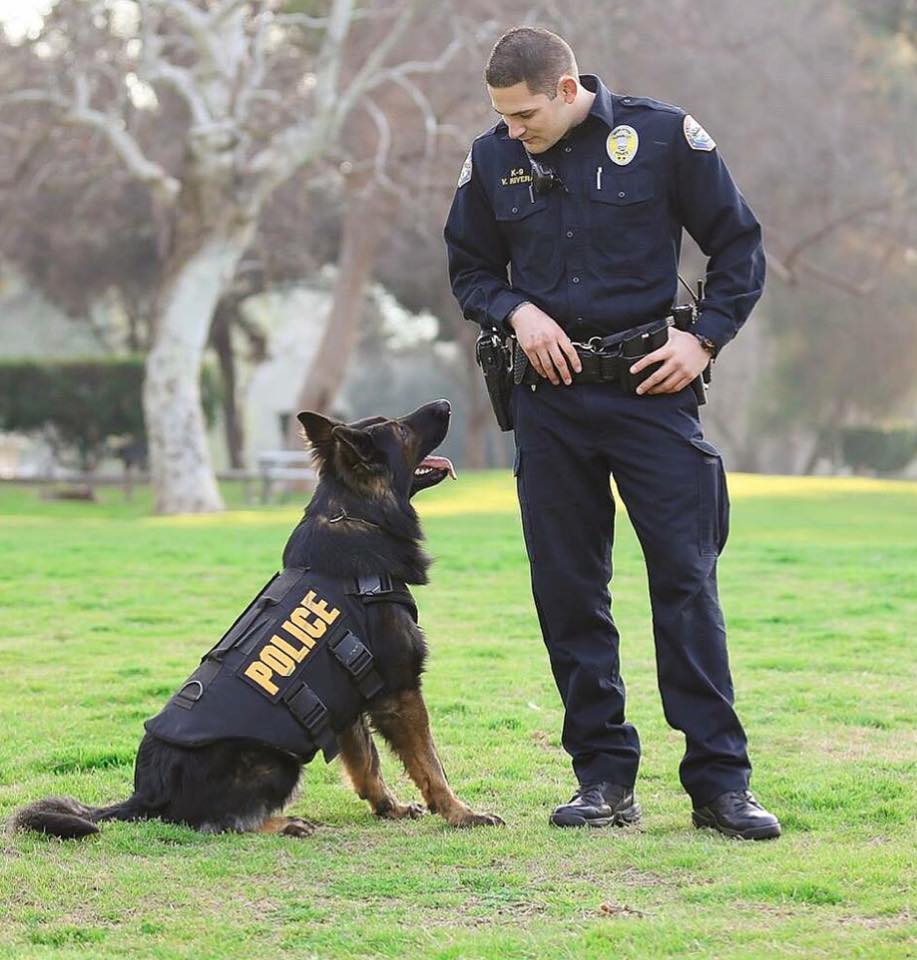 K9 Ty; Photo: via Facebook @tyvom