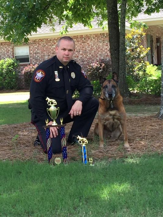 K9 Boy; Photo: Richland Police Dept.