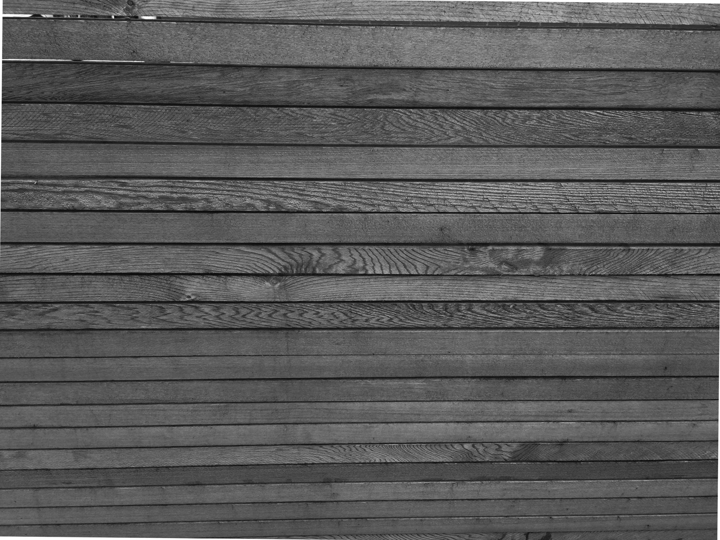 IMG_5991 - Copy dark2.jpg