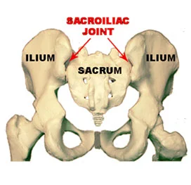 sacroiliac joint.jpg