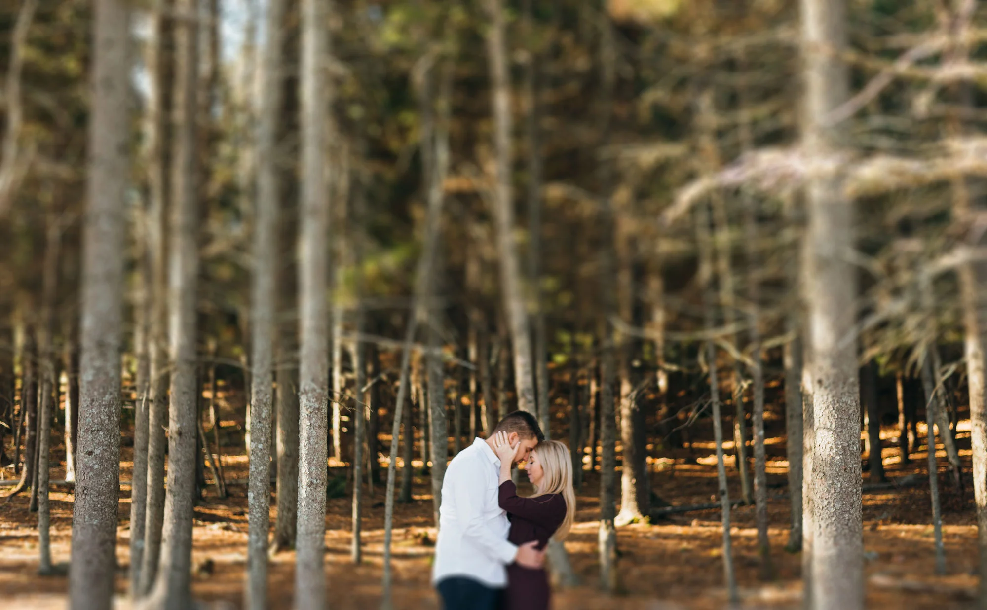 Christina &amp; Lee's Sunny Afternoon Engagement | Halifax Wedding Photographer
